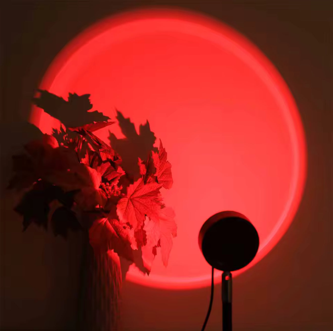 Lampe Coucher de Soleil, Sunset Lamp avec USB, Lumière Arc-en-Ciel Veilleuse LED Réglable en Hauteur (16 Couleurs)